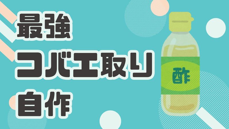 台所のコバエを一掃！最強の「コバエ取り」は自作してみましょう！